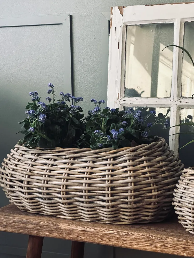 Plantekurve - Sæt m. 2 stk. Oval rattan