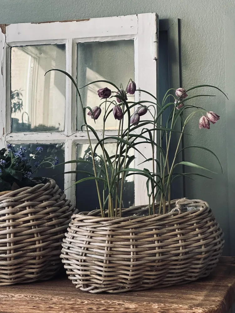 Plantekurve - Sæt m. 2 stk. Oval rattan