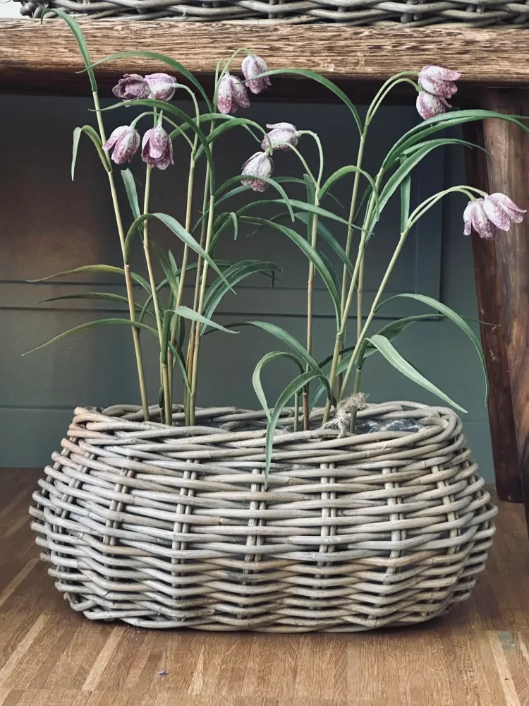 Plantekurve - Sæt m. 2 stk. Oval rattan