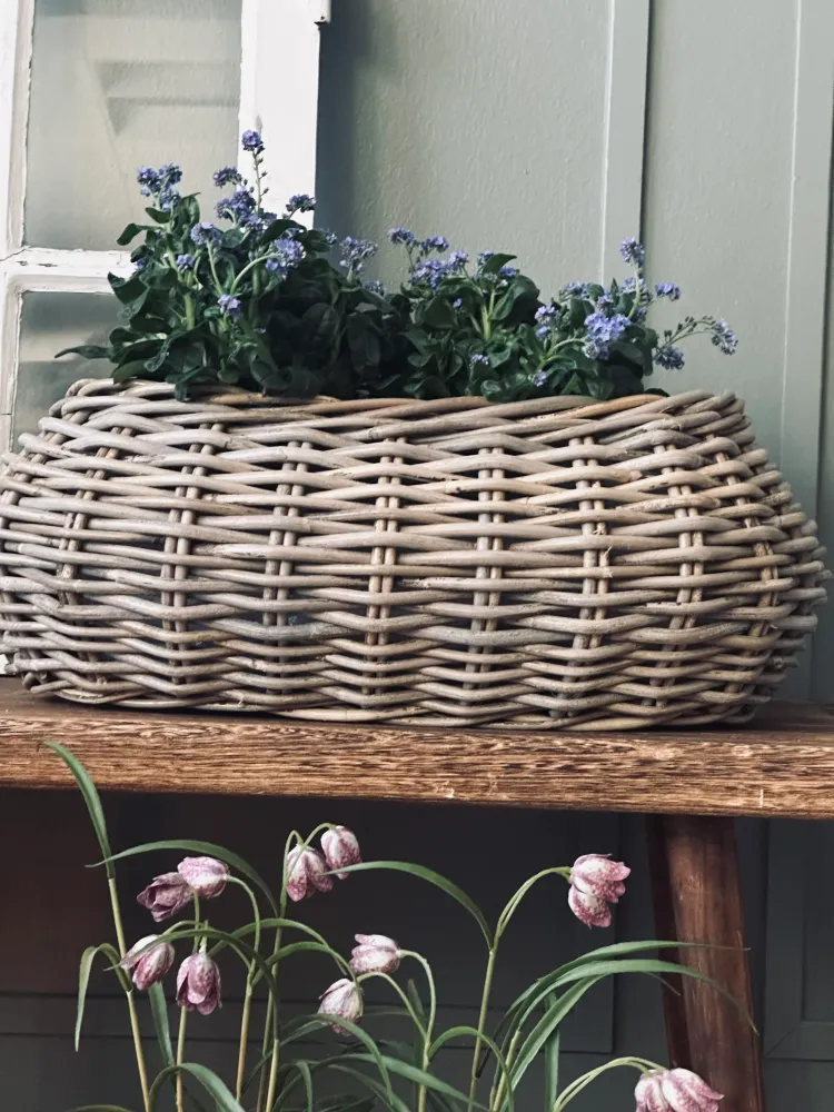 Plantekurve - Sæt m. 2 stk. Oval rattan