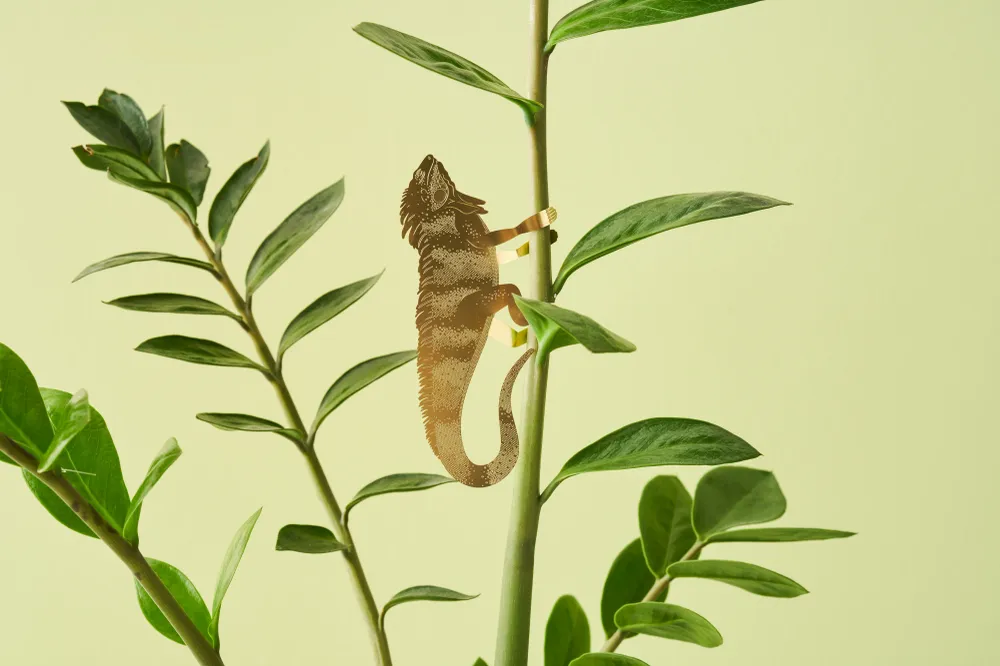 Leguan (stor) Another Studio