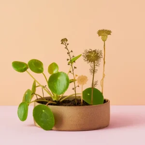 Vilde blomster Another Studio
