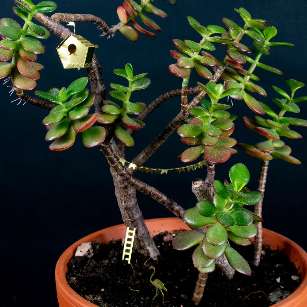 Mini Fuglehus | DIY sæt i messing Botanopia