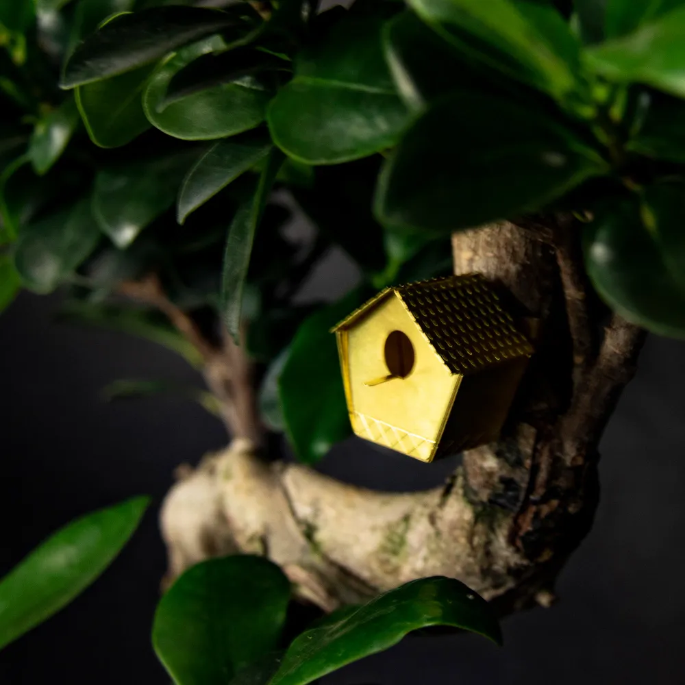 Mini Fuglehus | DIY sæt i messing Botanopia