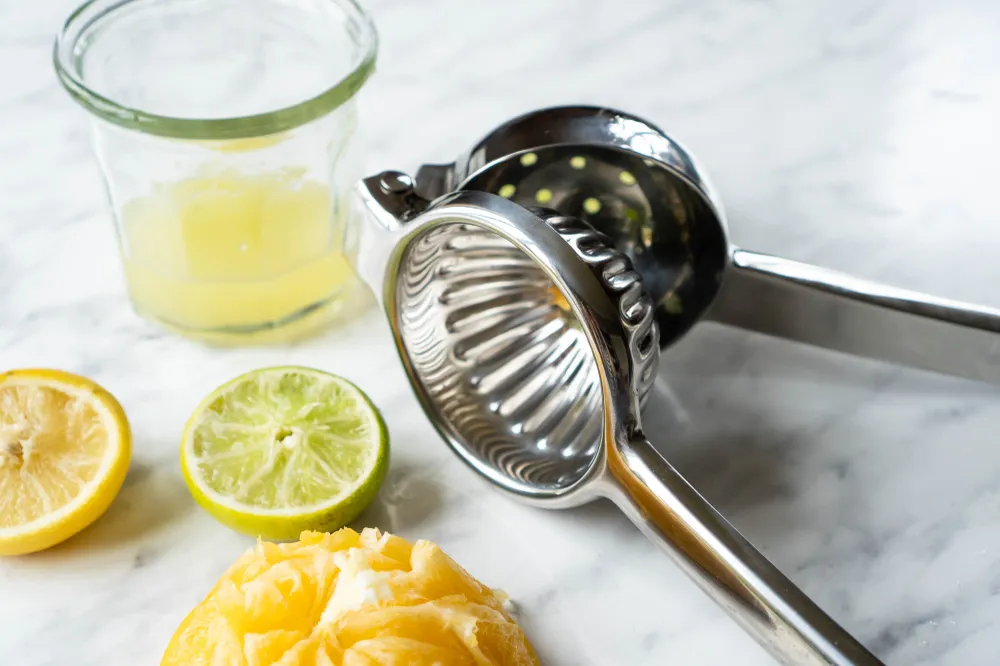 CitrusSqueezer Stainless Steel