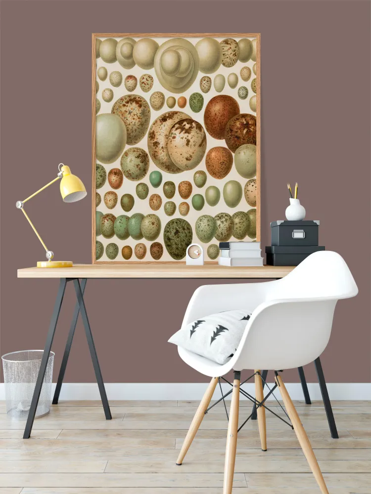 European eggs 30x40