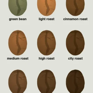 Certified Organic plakat: coffee roast levels - painters white 60