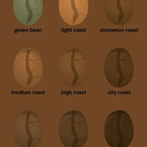 Dual Wall plakat: coffee roast levels - ebony brown 60