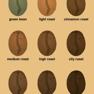 Gooseneck plakat: coffee roast levels - charismatic 60