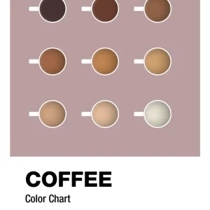 plakat: coffee color chart - airy rose 60
