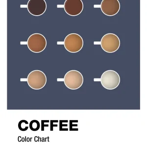 plakat: coffee color chart - petrol Temperature Control 60