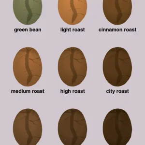 plakat: coffee roast levels - dusty lilac 2 Filters 60