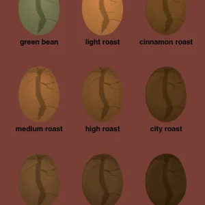 plakat: coffee roast levels - ruby pepper 60