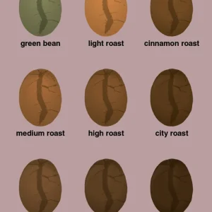Portable plakat: coffee roast levels - flydende rose 60