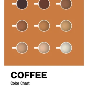 Stovetop plakat: coffee color chart - rumba apricot 60