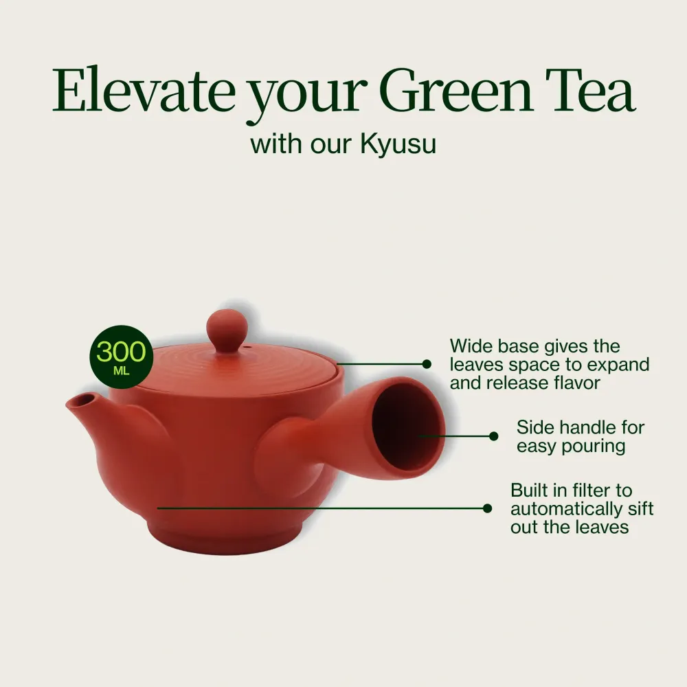 Rød Tokoname Kyusu