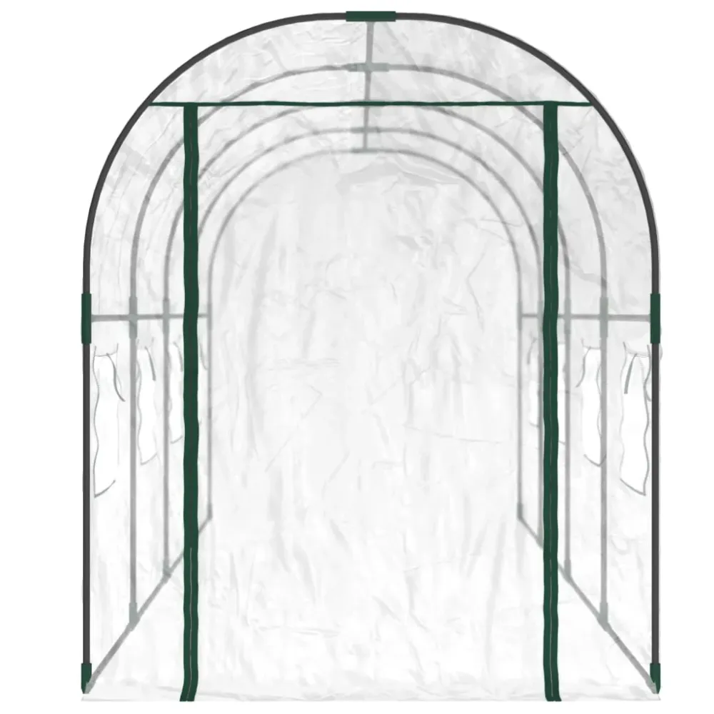 Drivhus 160X400X190 Cm Pvc Og Pulverlakeret Alloy Transparent