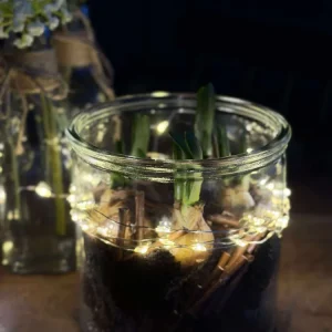Glas til dekoration