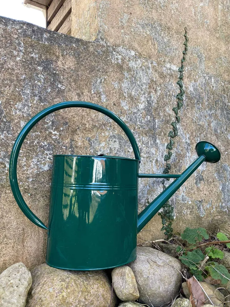 Vandkande – Grøn 10 Liter