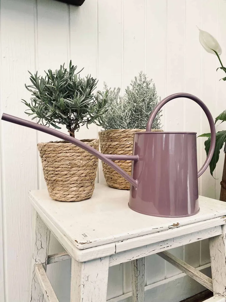 Vandkande – Lyng 1.5 Liter