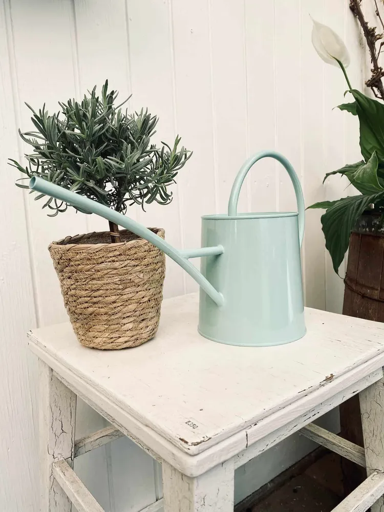 Vandkande – Lys blå pastel 1.5 Liter
