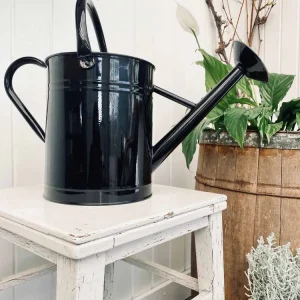 Vandkande - Sort 8 Liter