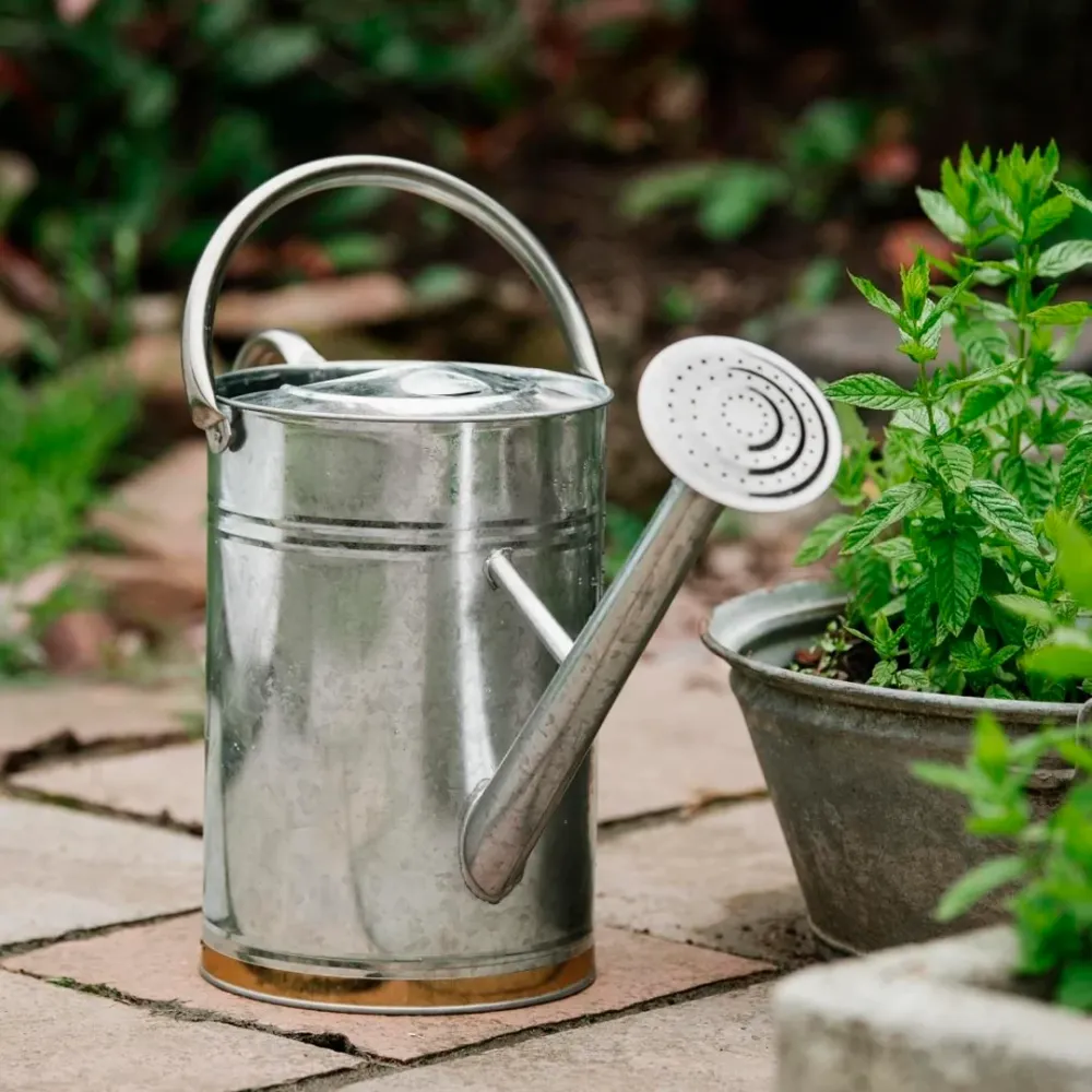 Metal Vandkande Galvaniseret 9 L – Rustbestandig med Brusehoved