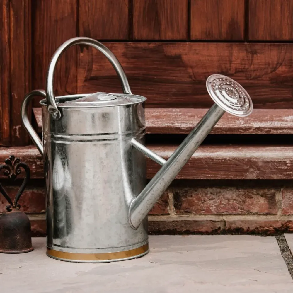 Metal Vandkande Galvaniseret 9 L – Rustbestandig med Brusehoved
