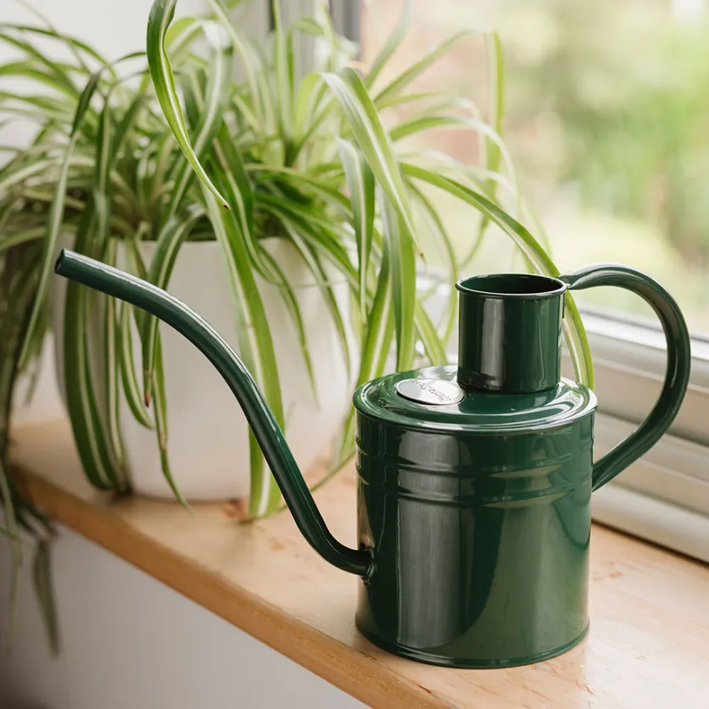 Vandkande til Stueplanter 1L – Mørkegrøn Metal Vandkande med Lang Tud