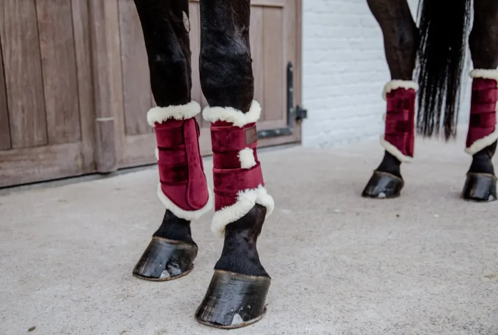 Luftning Kentucky - Velourdressyrdamasker - Bordeaux M