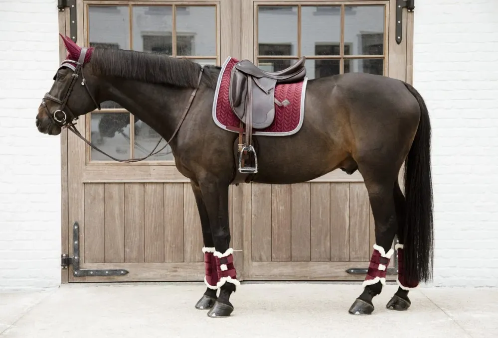 Luftning Kentucky - Velourdressyrdamasker - Bordeaux M